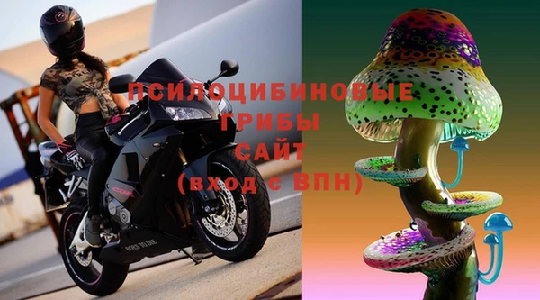 гашик Абдулино