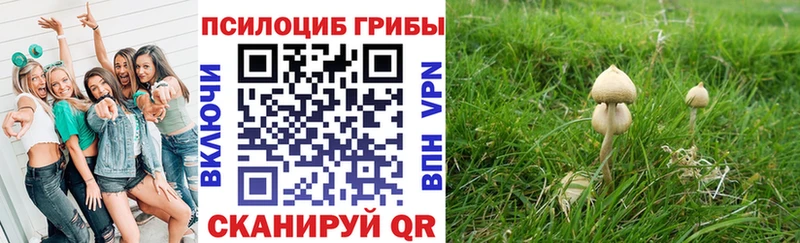 купить наркоту Ухта Галлюциногенные грибы прущие грибы